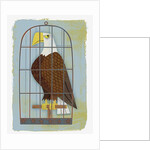 Bald Eagle Confined in Small Cage by Anonymous