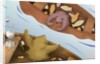 Bear Telling Exaggerated Fish Story by Anonymous