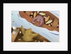 Bear Telling Exaggerated Fish Story by Anonymous