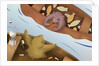 Bear Telling Exaggerated Fish Story by Anonymous