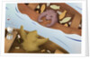 Bear Telling Exaggerated Fish Story by Anonymous