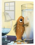 Fish Out of Water by Anonymous