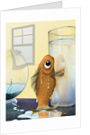 Fish Out of Water by Anonymous