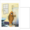 Fish Out of Water by Anonymous