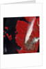 Chaiten Volcano Erupting by Anonymous