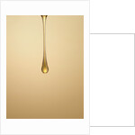 Dripping Syrup by Anonymous