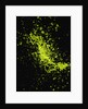 Splashing Green Liquid by Anonymous