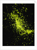 Splashing Green Liquid by Anonymous