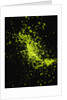 Splashing Green Liquid by Anonymous