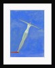 Diver on Springboard by Anonymous
