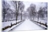 Central Park in winter by Anonymous
