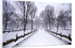 Central Park in winter by Anonymous