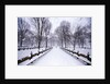 Central Park in winter by Anonymous