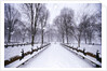 Central Park in winter by Anonymous
