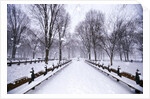 Central Park in winter by Anonymous