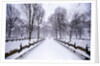 Central Park in winter by Anonymous