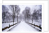 Central Park in winter by Anonymous