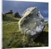 Boulder on a Hillside by Anonymous