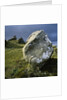 Boulder on a Hillside by Anonymous