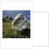 Boulder on a Hillside by Anonymous
