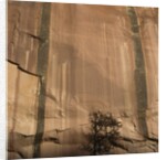 Lone Tree Beneath a Sheer Cliff Face by Anonymous