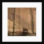 Lone Tree Beneath a Sheer Cliff Face by Anonymous