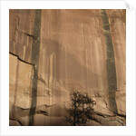 Lone Tree Beneath a Sheer Cliff Face by Anonymous