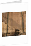 Lone Tree Beneath a Sheer Cliff Face by Anonymous