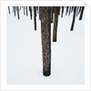 Tree Trunks in Snow by Anonymous