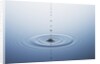 Ripple on Water by Anonymous
