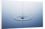 Ripple on Water by Anonymous