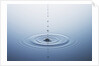 Ripple on Water by Anonymous