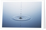Ripple on Water by Anonymous