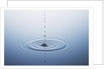Ripple on Water by Anonymous