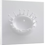 Splash of Milk by Anonymous