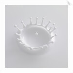 Splash of Milk by Anonymous