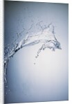 Water Splash by Anonymous