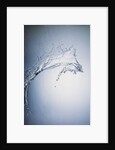 Water Splash by Anonymous