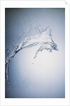 Water Splash by Anonymous