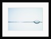 Bubbles on Water Surface by Anonymous