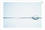 Bubbles on Water Surface by Anonymous