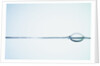 Bubbles on Water Surface by Anonymous