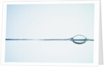 Bubbles on Water Surface by Anonymous