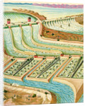 Illustration of Dam on Colorado River in California by C.H. DeWitt