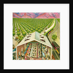 Illustration of California Orange Grove by C.H. DeWitt