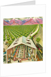 Illustration of California Orange Grove by C.H. DeWitt