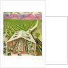 Illustration of California Orange Grove by C.H. DeWitt