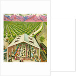 Illustration of California Orange Grove by C.H. DeWitt