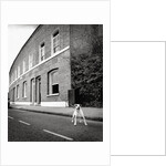 Jack Russell Terrier Standing near Curb by Anonymous