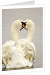 Mute Swan Pair During Their Courtship Ritual by Anonymous